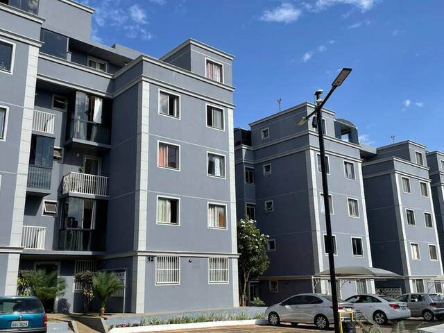 #509 - Apartamento para Venda em Novo Gama - GO - 3